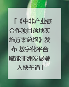 《中非产业链合作项目落地实施方案总纲》发布 数字化平台赋能非洲发展驶入快车道