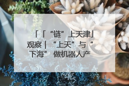 「“链”上天津」观察｜“上天”与“下海” 做机器人产业链细分领域强者