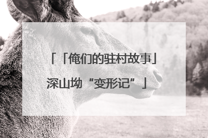 「俺们的驻村故事」深山坳“变形记”