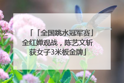 「全国跳水冠军赛」全红婵观战，陈艺文斩获女子3米板金牌