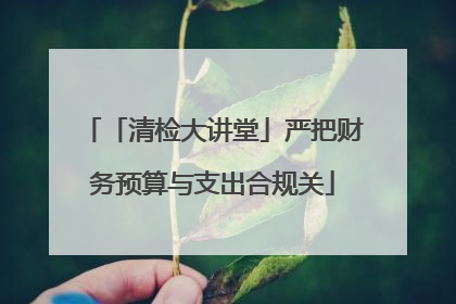 「清检大讲堂」严把财务预算与支出合规关