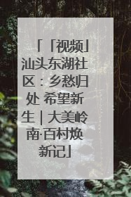 「视频」汕头东湖社区：乡愁归处 希望新生｜大美岭南·百村焕新记