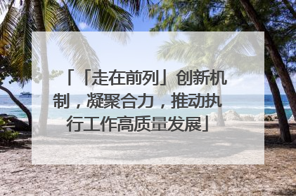 「走在前列」创新机制，凝聚合力，推动执行工作高质量发展