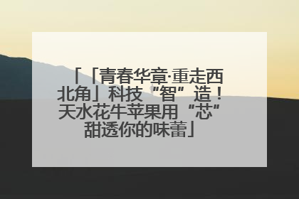 「青春华章·重走西北角」科技“智”造！天水花牛苹果用“芯”甜透你的味蕾