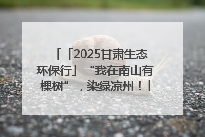「2025甘肃生态环保行」“我在南山有棵树”，染绿凉州！