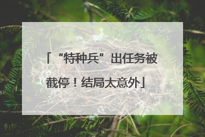 “特种兵”出任务被截停！结局太意外