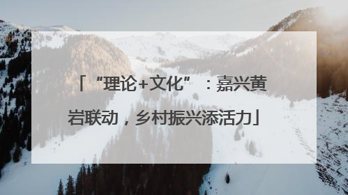 “理论+文化”：嘉兴黄岩联动，乡村振兴添活力