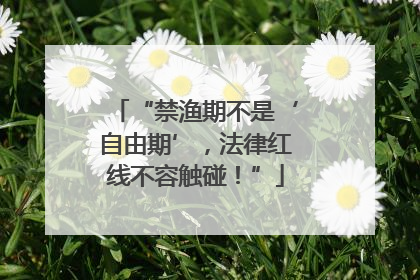 “禁渔期不是‘自由期’，法律红线不容触碰！”