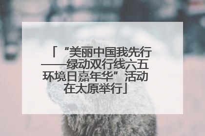 “美丽中国我先行——绿动双行线六五环境日嘉年华”活动在太原举行