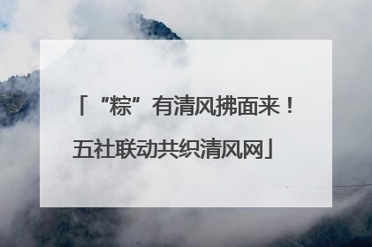 “粽”有清风拂面来！五社联动共织清风网