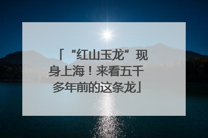 “红山玉龙”现身上海！来看五千多年前的这条龙