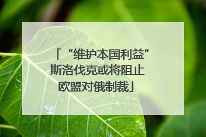 “维护本国利益” 斯洛伐克或将阻止欧盟对俄制裁