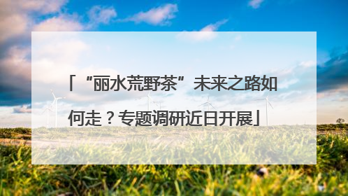 “丽水荒野茶”未来之路如何走？专题调研近日开展