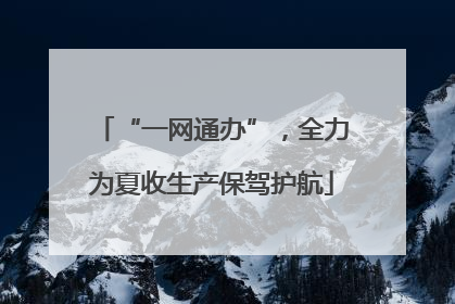 “一网通办”，全力为夏收生产保驾护航