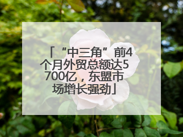 “中三角”前4个月外贸总额达5700亿，东盟市场增长强劲