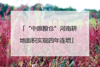 “中原粮仓”河南耕地面积实现四年连增
