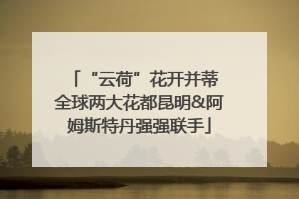 “云荷”花开并蒂 全球两大花都昆明&阿姆斯特丹强强联手