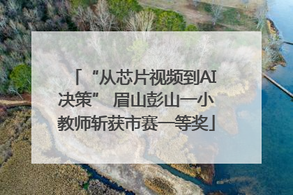 “从芯片视频到AI决策” 眉山彭山一小教师斩获市赛一等奖