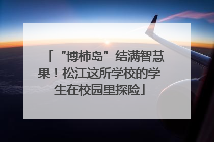 “博柿岛”结满智慧果！松江这所学校的学生在校园里探险