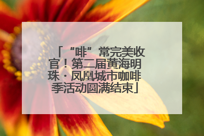 “啡”常完美收官！第二届黄海明珠・凤凰城市咖啡季活动圆满结束