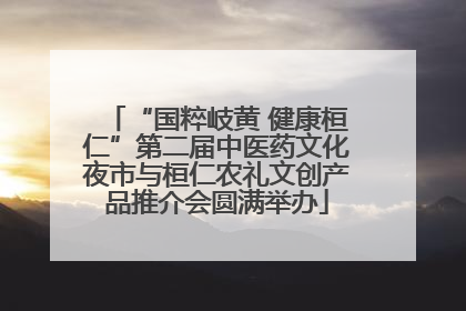 “国粹岐黄 健康桓仁”第二届中医药文化夜市与桓仁农礼文创产品推介会圆满举办