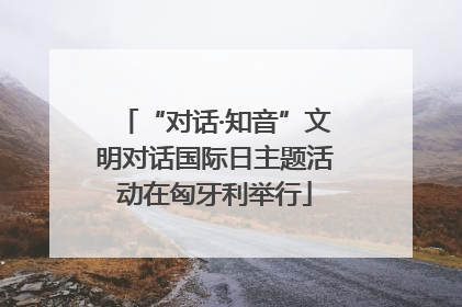 “对话·知音”文明对话国际日主题活动在匈牙利举行
