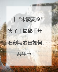 “宋陵麦收”火了！揭秘千年石刻与麦田如何共生→