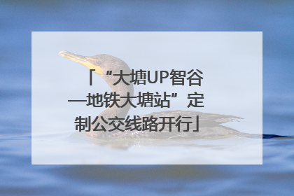 “大塘UP智谷—地铁大塘站”定制公交线路开行