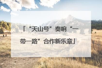 “天山号”奏响“一带一路”合作新乐章