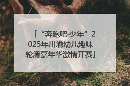 “奔跑吧·少年”2025年川渝幼儿趣味轮滑嘉年华激情开赛
