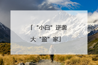 “小白”逆袭大“盈”家