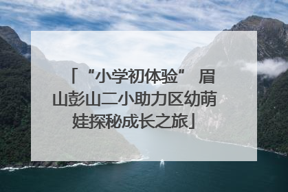 “小学初体验” 眉山彭山二小助力区幼萌娃探秘成长之旅