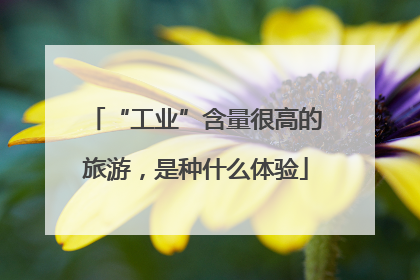 “工业”含量很高的旅游，是种什么体验