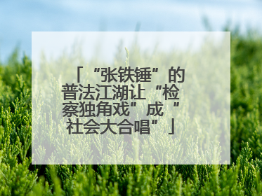 “张铁锤”的普法江湖让“检察独角戏”成“社会大合唱”