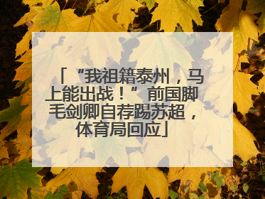 “我祖籍泰州，马上能出战！”前国脚毛剑卿自荐踢苏超，体育局回应