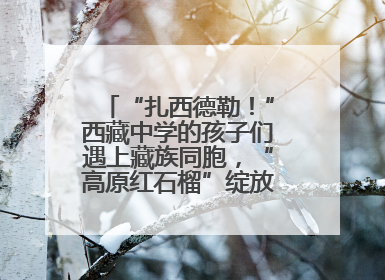 “扎西德勒！”西藏中学的孩子们遇上藏族同胞，“高原红石榴”绽放荆楚大地