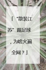 “散装江苏”踢足球，为啥火遍全网？