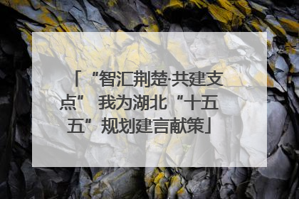 “智汇荆楚·共建支点” 我为湖北“十五五”规划建言献策