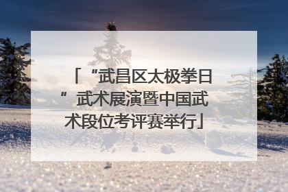 “武昌区太极拳日”武术展演暨中国武术段位考评赛举行