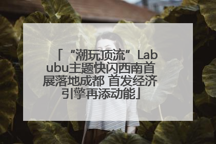 “潮玩顶流”Labubu主题快闪西南首展落地成都 首发经济引擎再添动能