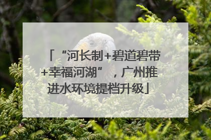 “河长制+碧道碧带+幸福河湖”，广州推进水环境提档升级