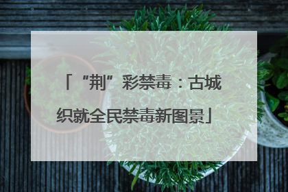 “荆”彩禁毒：古城织就全民禁毒新图景