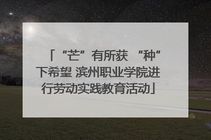 “芒”有所获 “种”下希望 滨州职业学院进行劳动实践教育活动