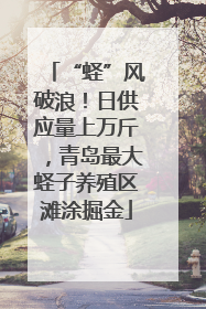 “蛏”风破浪！日供应量上万斤，青岛最大蛏子养殖区滩涂掘金
