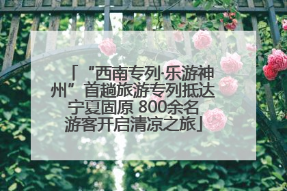 “西南专列·乐游神州”首趟旅游专列抵达宁夏固原 800余名游客开启清凉之旅