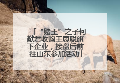 “赌王”之子何猷君收购王思聪旗下企业，接盘后前往山东参加活动