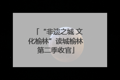 “非遗之城 文化榆林”读城榆林第二季收官