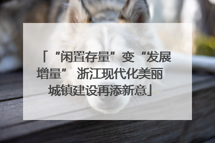 “闲置存量”变“发展增量” 浙江现代化美丽城镇建设再添新意