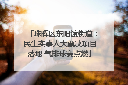 珠晖区东阳渡街道：民生实事人大票决项目落地 气排球赛点燃