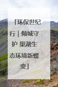 环保世纪行｜倾城守护 巢湖生态环境新蝶变